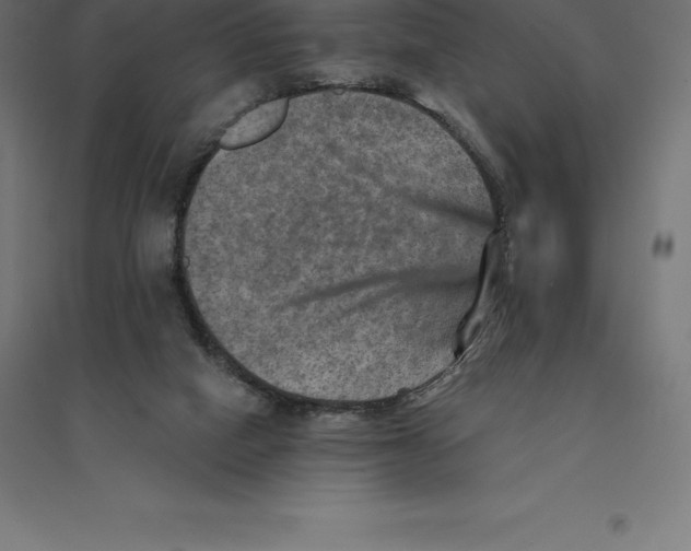 X0000094460066200712061232