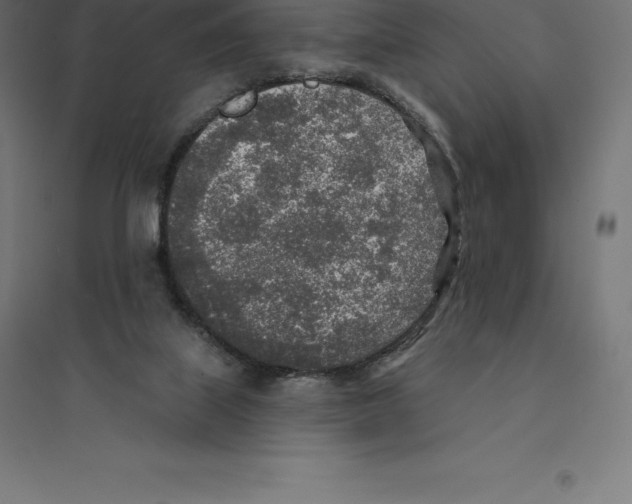 X0000094460067200712061232