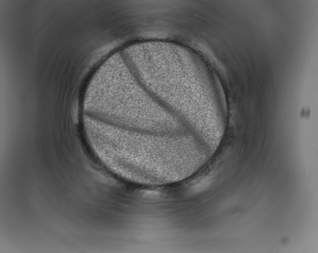 X0000094460068200712061232