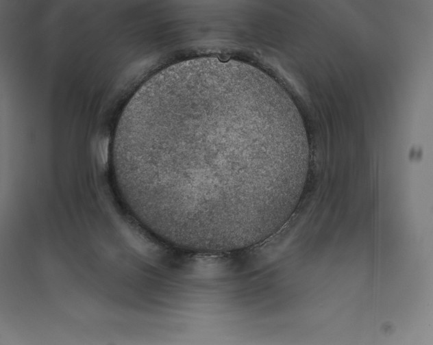 X0000094460070200712061233