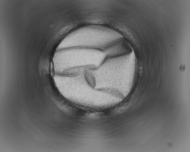 X0000094460072200712061233