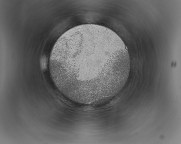 X0000094460075200712061233