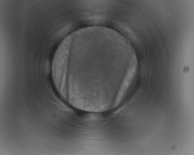 X0000094460077200712061233