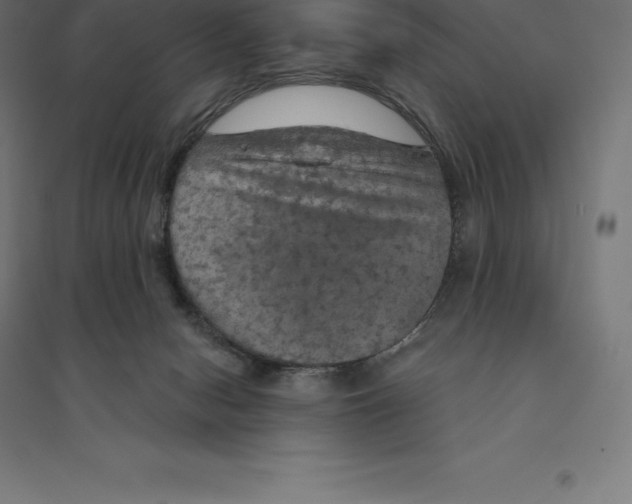 X0000094460078200712061233