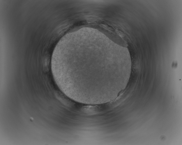 X0000094460082200712061233