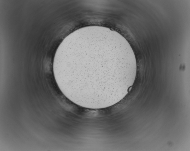 X0000094460083200712061233