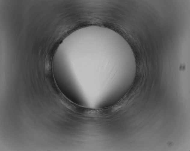 X0000094460084200712061233