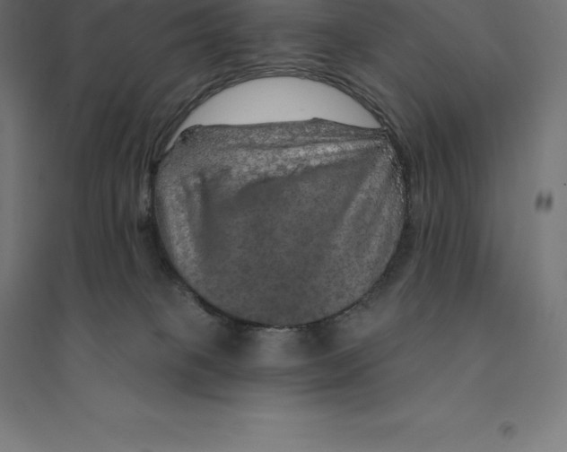 X0000094460085200712061233