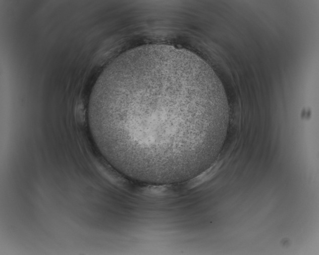 X0000094460086200712061233