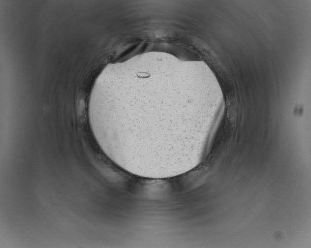 X0000094460087200712061233