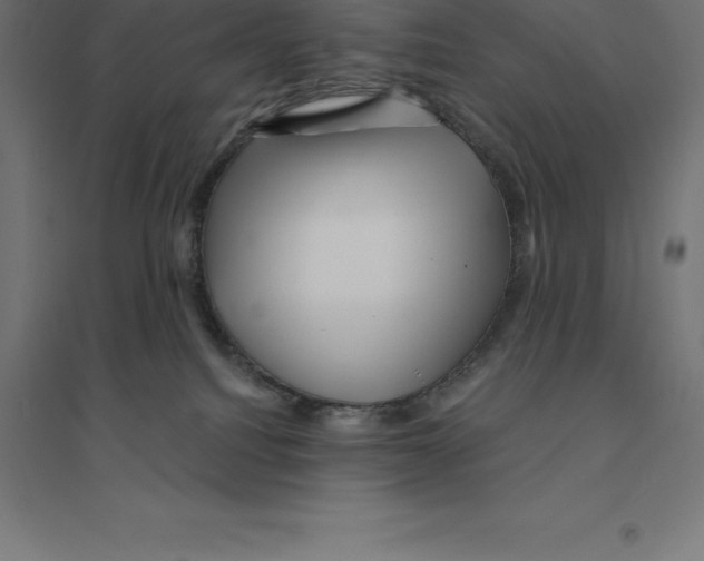 X0000094460088200712061233