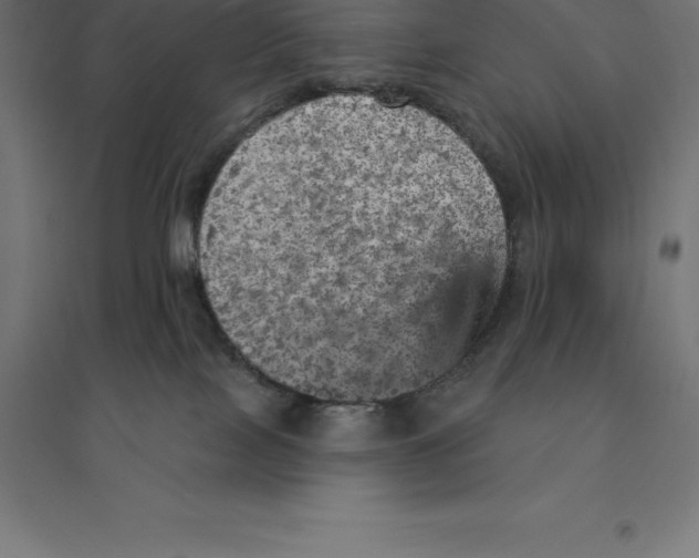 X0000094460089200712061233