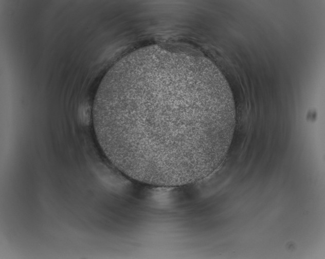 X0000094460090200712061233