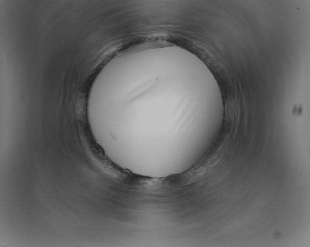 X0000094460092200712061233