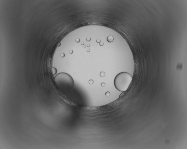 X0000094460093200712061233