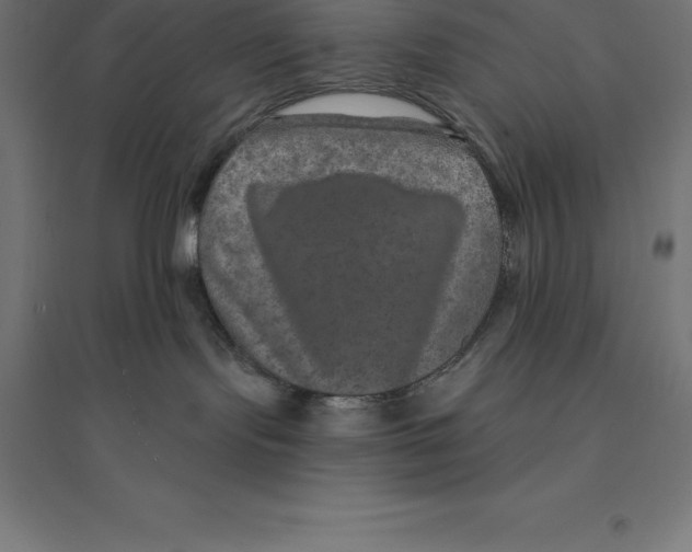 X0000094460095200712061233