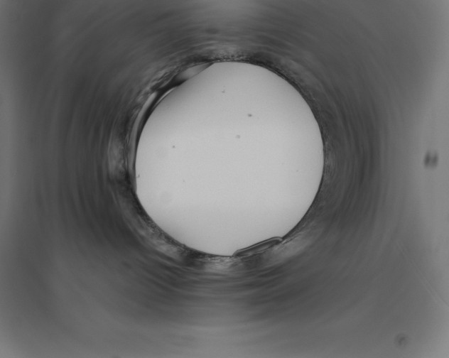 X0000094460096200712061233