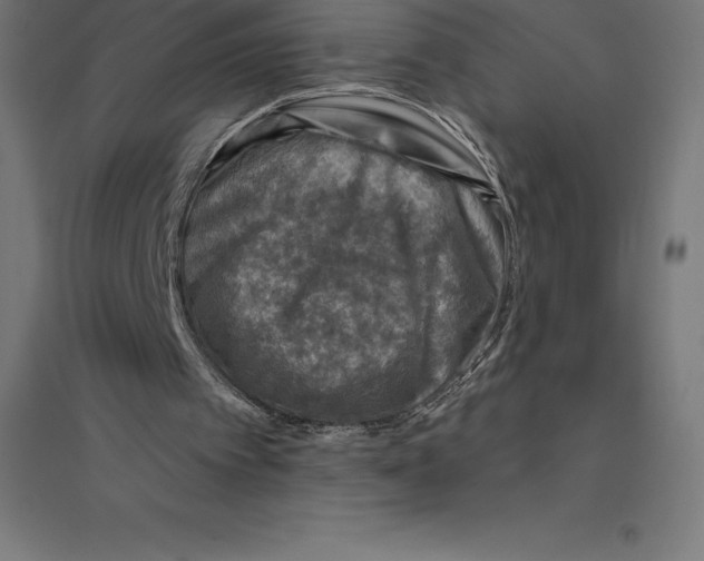 X0000094460097200712061232