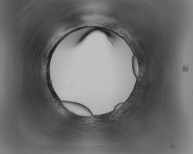 X0000094460098200712061232