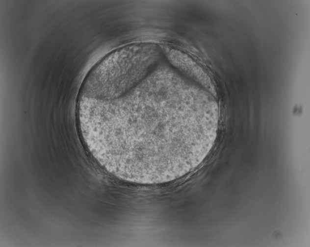 X0000094460099200712061232