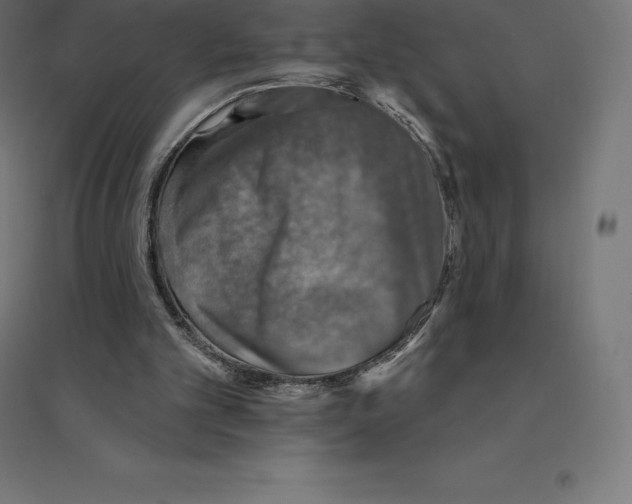 X0000094460101200712061232