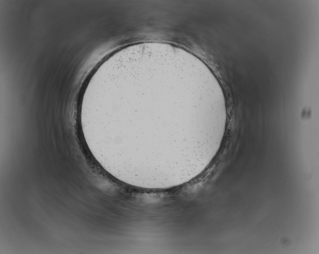 X0000094460103200712061232