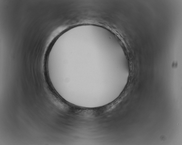 X0000094460104200712061232