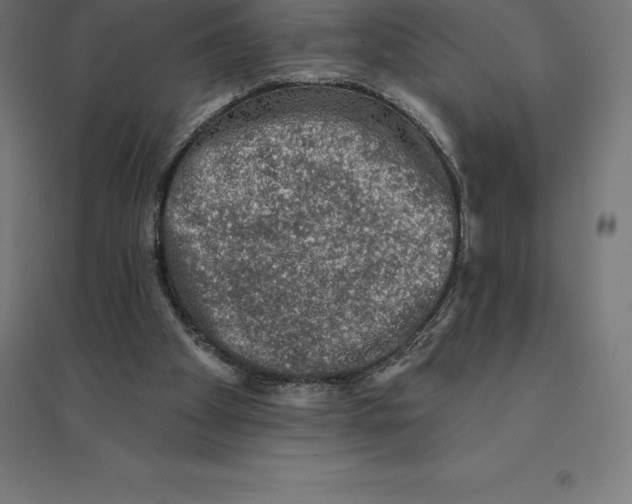 X0000094460105200712061232