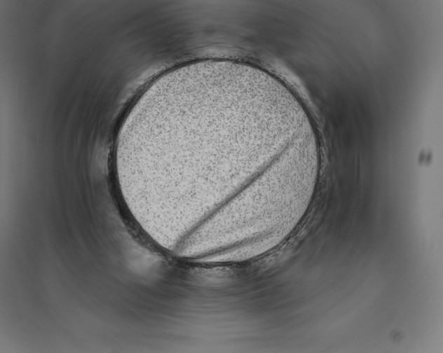 X0000094460106200712061232