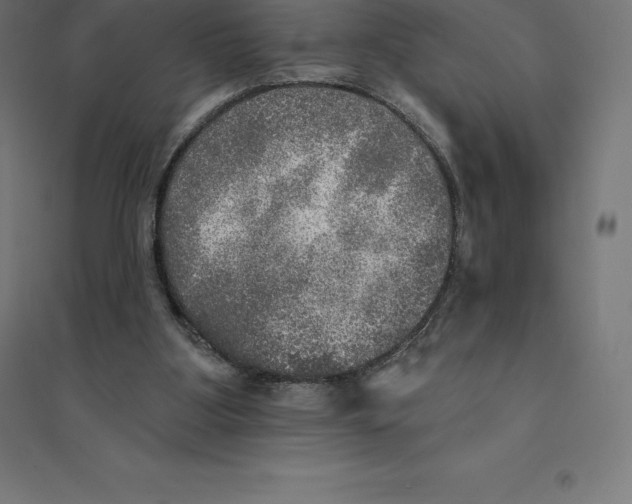 X0000094460107200712061232