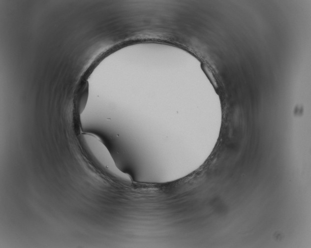 X0000094460108200712061232