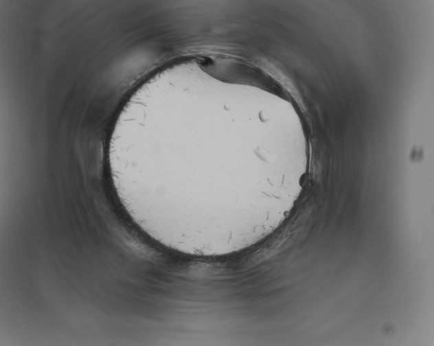 X0000094460109200712061232