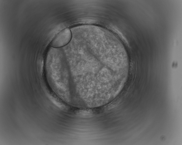 X0000094460110200712061232