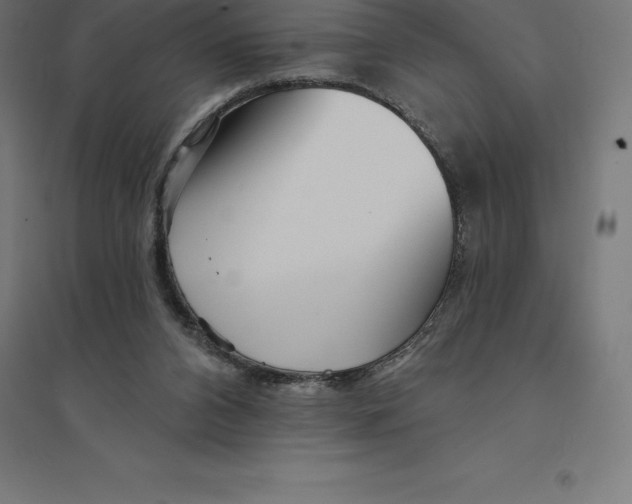 X0000094460112200712061232