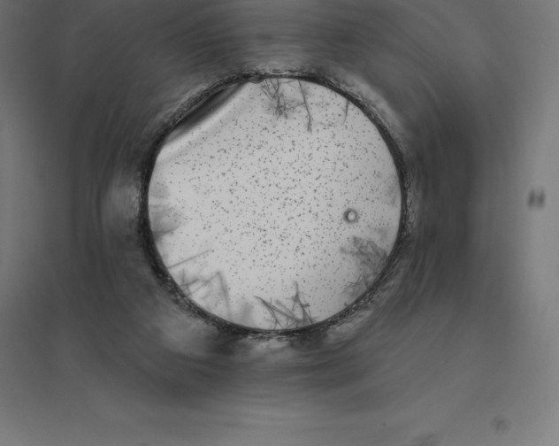 X0000094460113200712061232