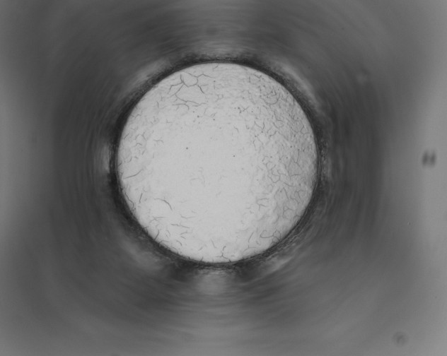 X0000094460115200712061232