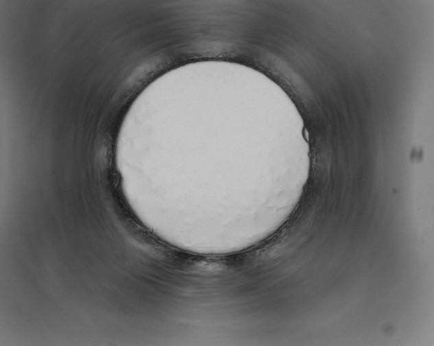 X0000094460119200712061232