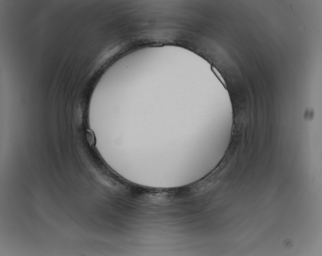 X0000094460120200712061232