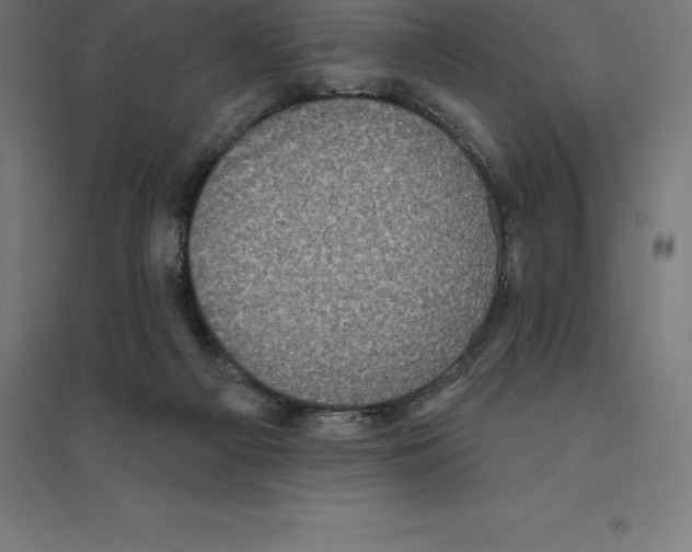 X0000094460121200712061232