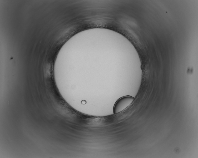 X0000094460122200712061232