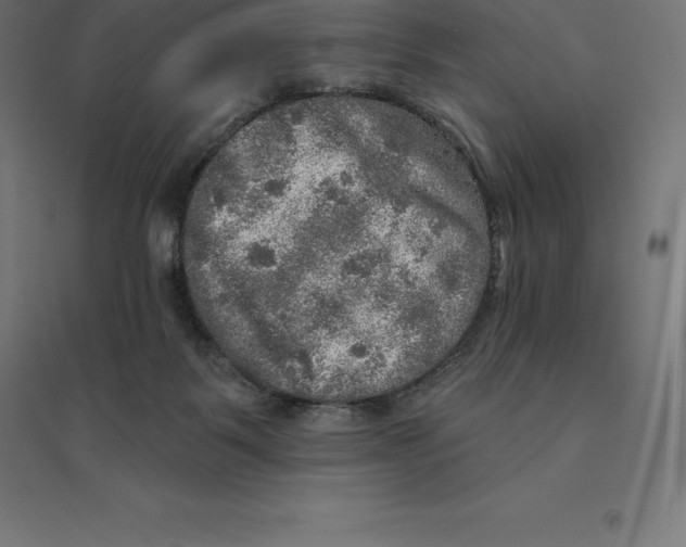 X0000094460123200712061232