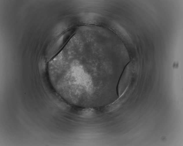 X0000094460124200712061232