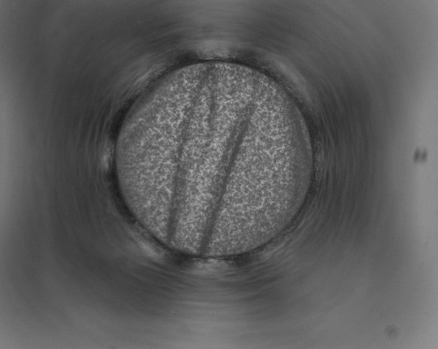 X0000094460125200712061232