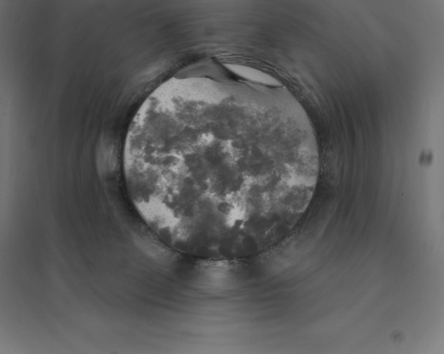 X0000094460131200712061232