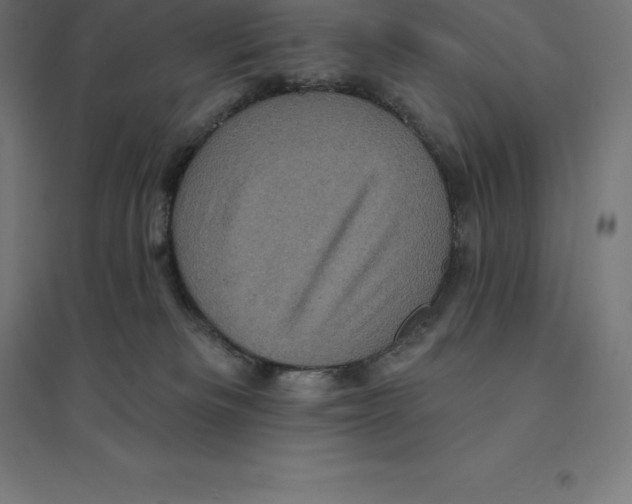 X0000094460133200712061232