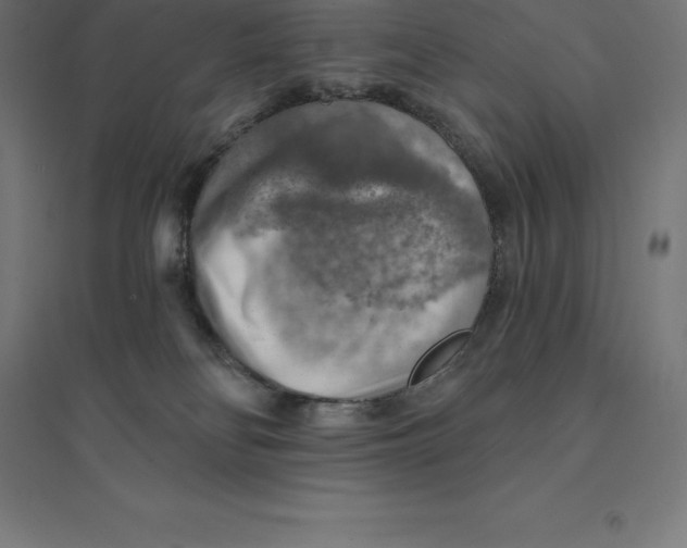 X0000094460134200712061232