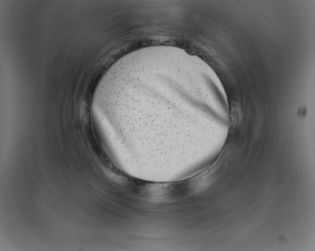 X0000094460136200712061232