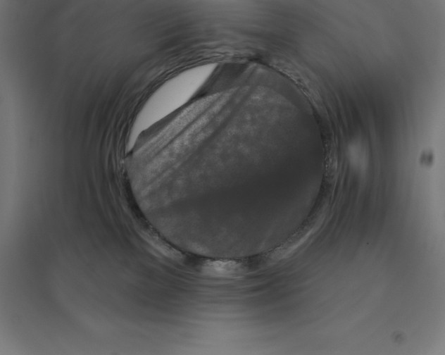 X0000094460137200712061232