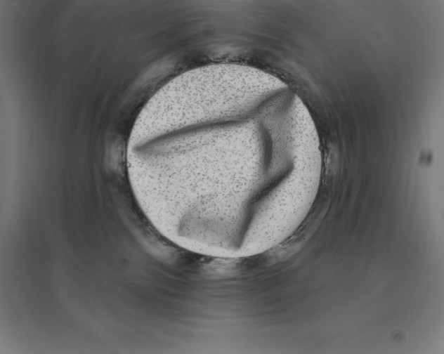 X0000094460138200712061232