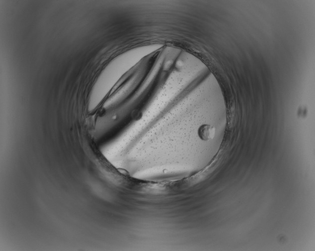 X0000094460140200712061232